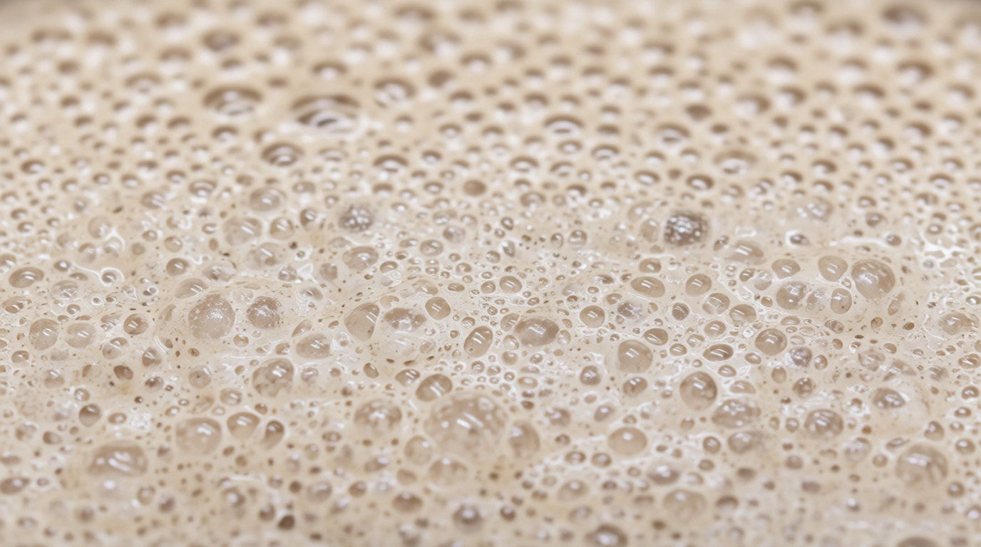 Apprendre à nourrir et comprendre son levain au quotidien